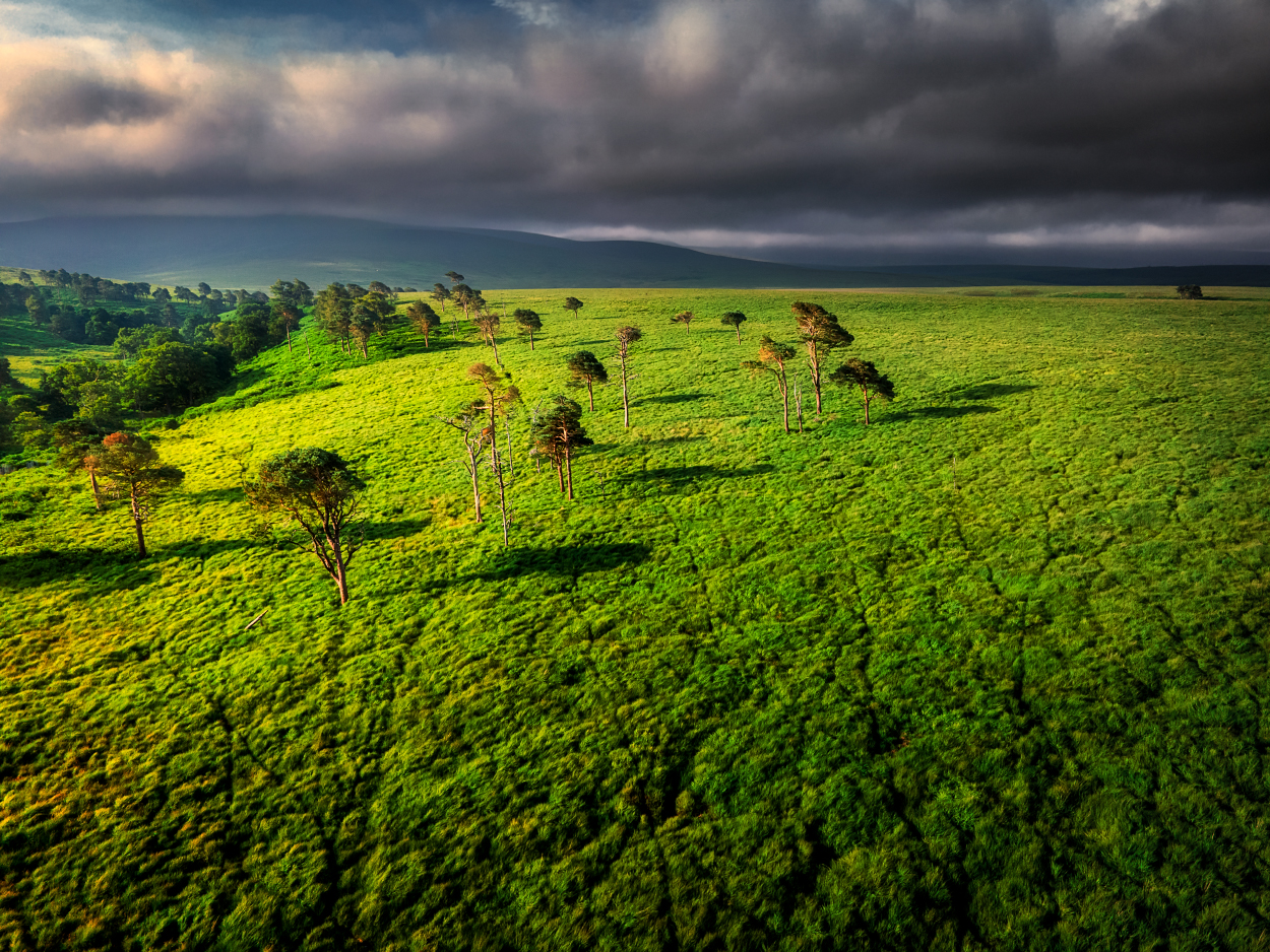 Drone photography #46