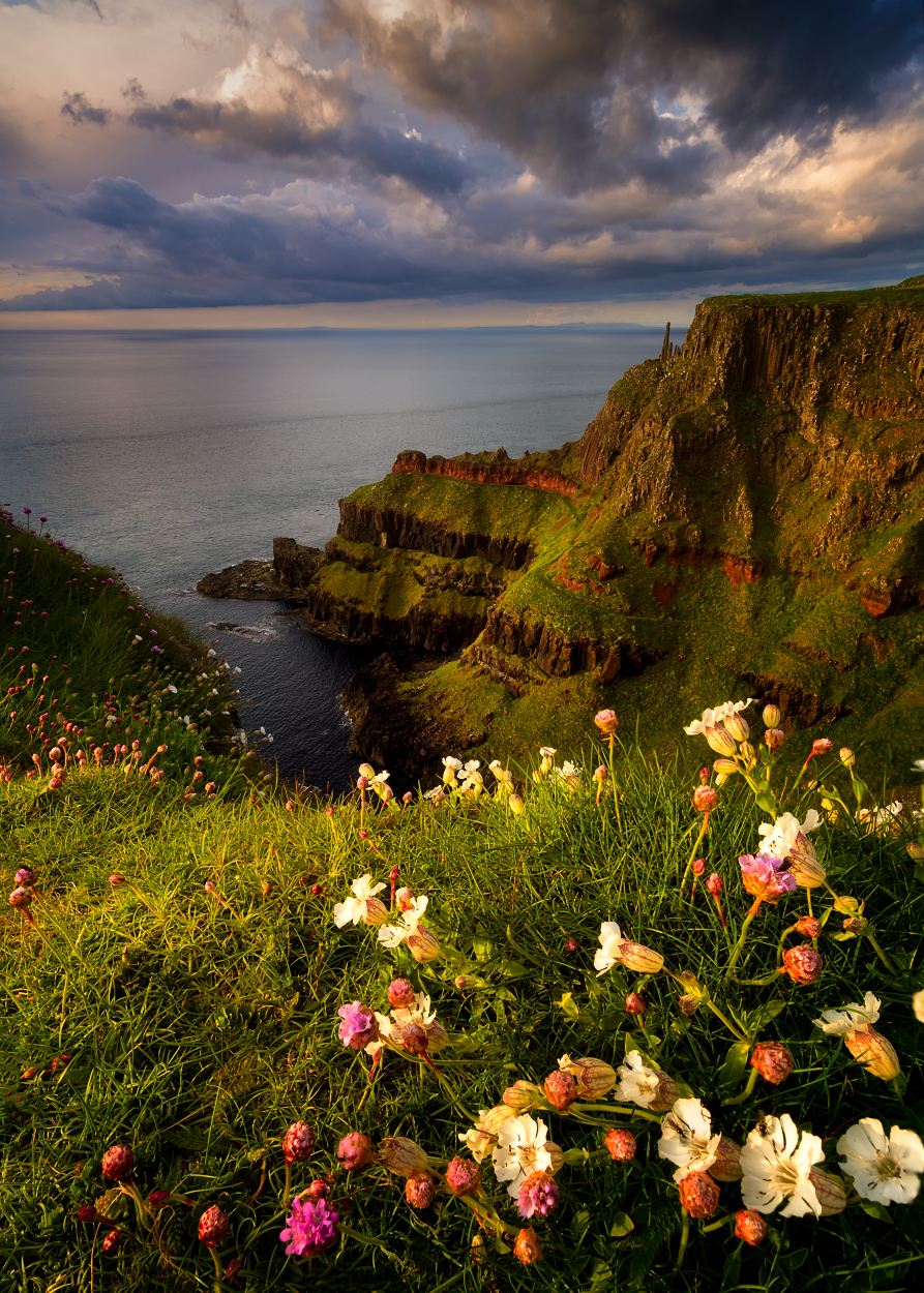 Ireland Landscape #46