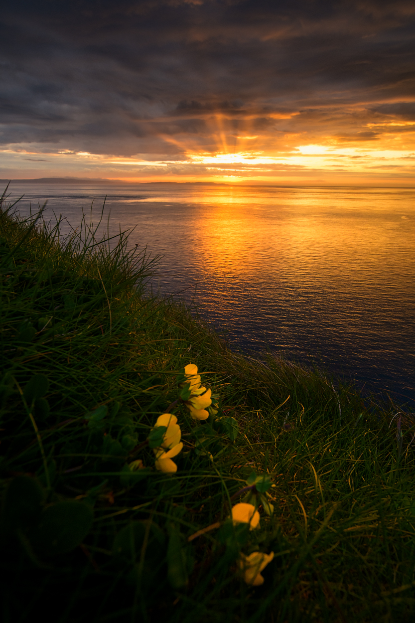 Ireland Landscape #48