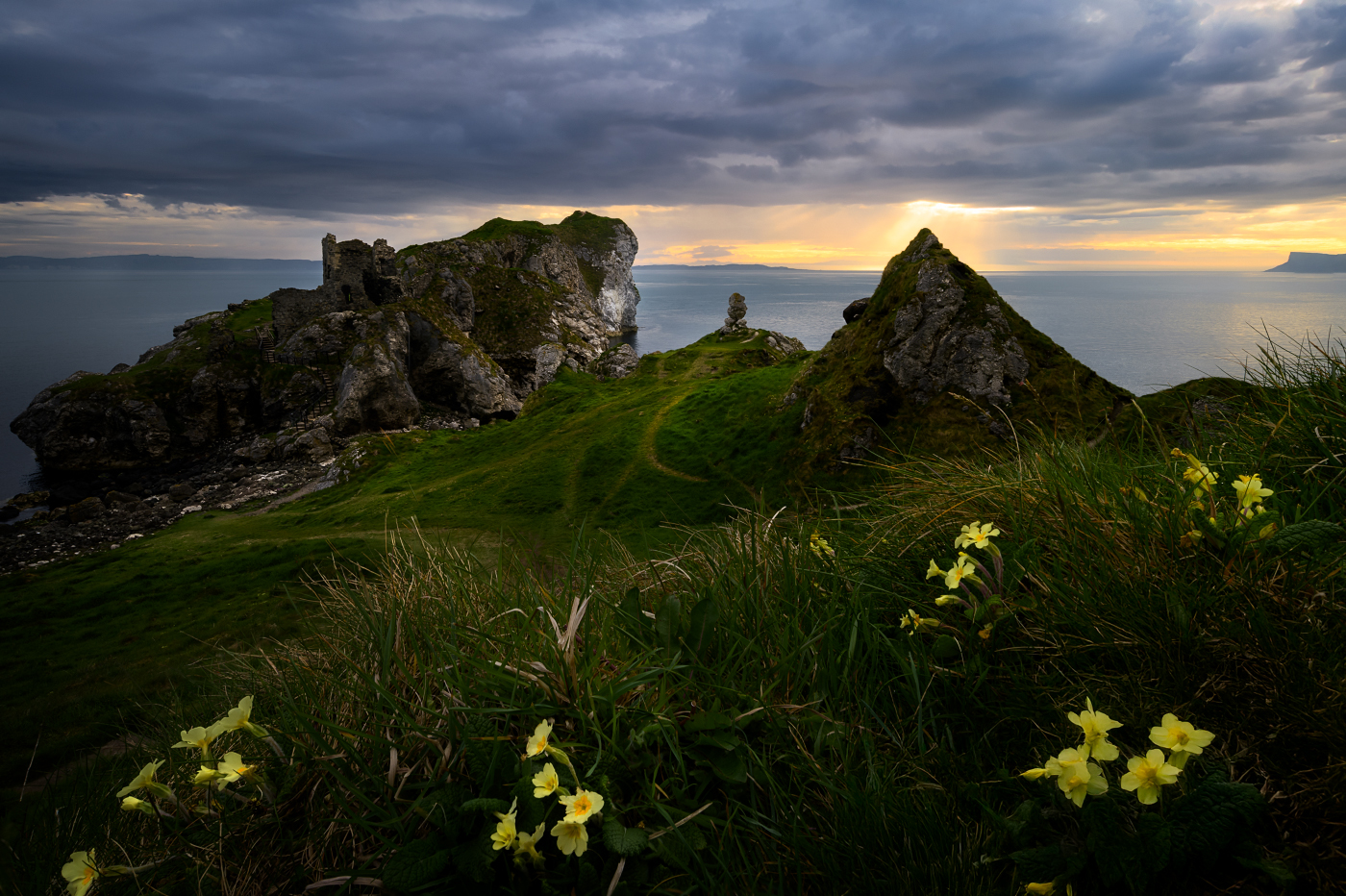 Ireland Landscape #49