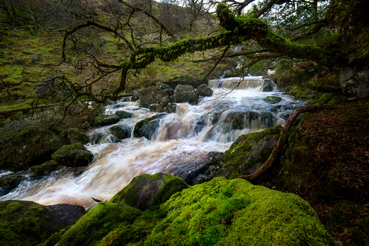 Wicklow Landscape #6