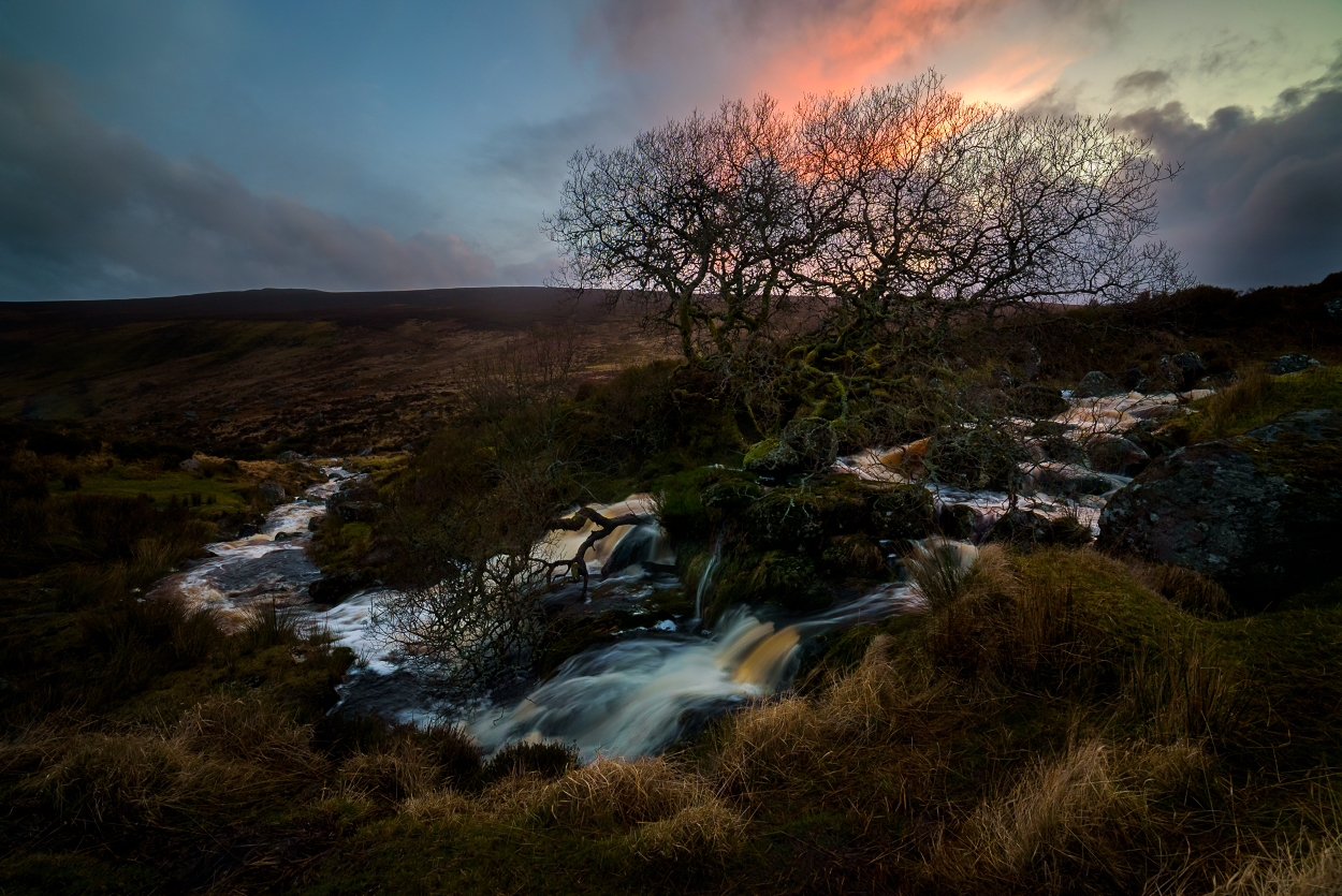 Wicklow Landscape #7