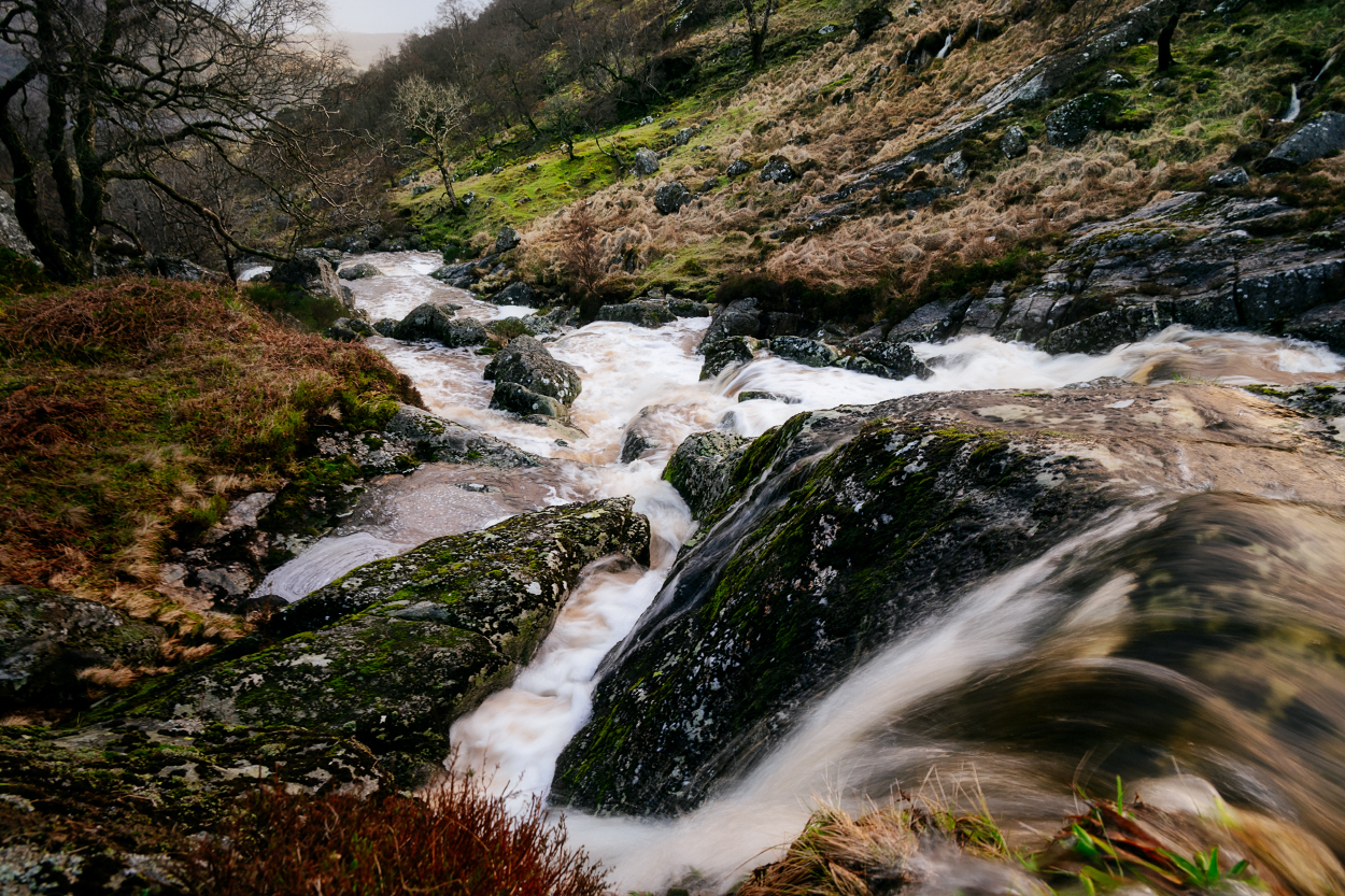 Wicklow Landscape #5